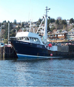 Busy times for Gibsons Harbour