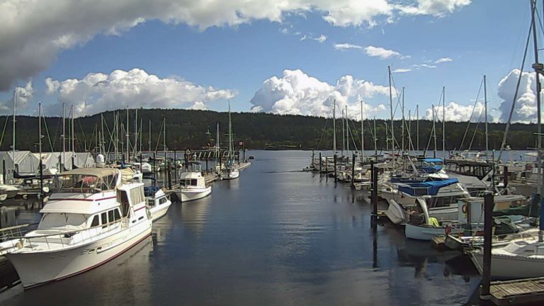 Boats moored in Ladysmith’s “Dogpatch” have 1 month to leave