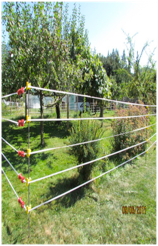 Wildsafe BC Sunshine Coast spreading the word on electric fences