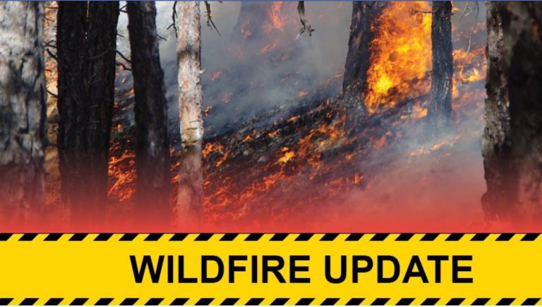 Wildfire sparked near Mt Benson, close call near Ladysmith