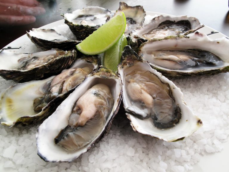 Oyster farmers brace for hit to bottom line after recalls and health warnings