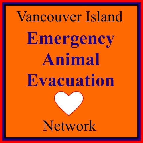 Van Isle Facebook group aims to keep animals safe during disasters