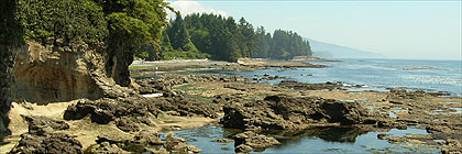 Another foot washes up on shore