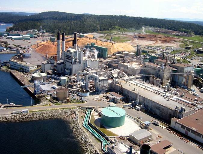 Investigation into mill death underway