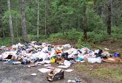 Report illegal dumping
