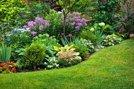 Free gardening advice