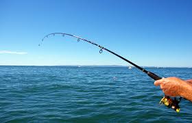 DFO asks fishers to observe, record and report