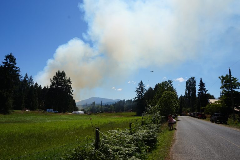 Brush fire in the North Oyster region