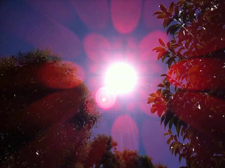 Record setting weekend for the Sunshine Coast