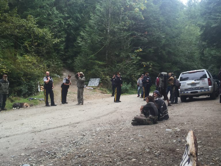 Local logging focus group back in court