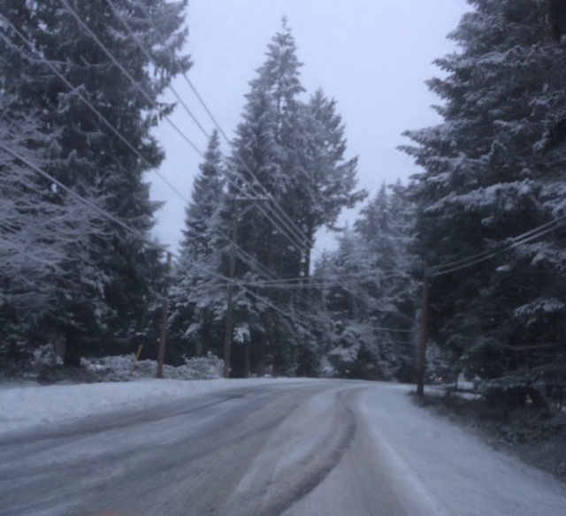 Environment Canada issues winter storm watch