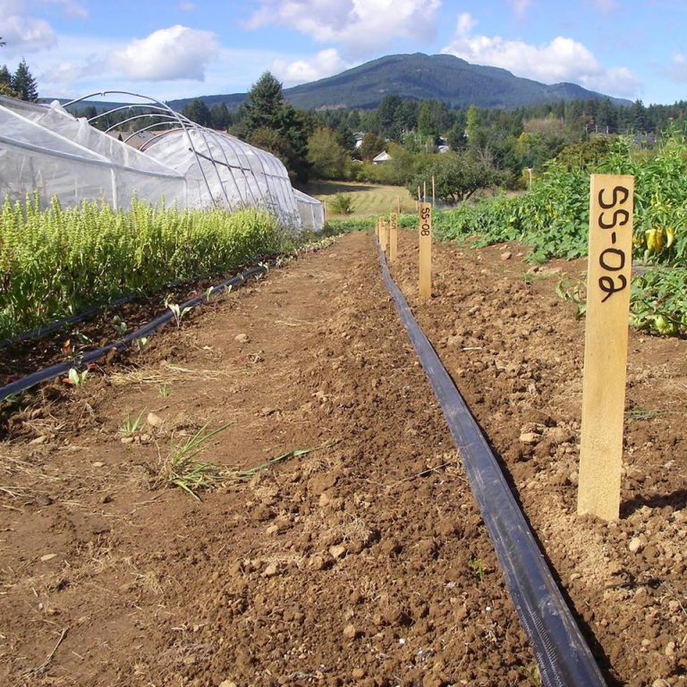 Water Licensing Workshop Coming to Parksville