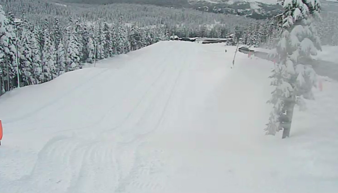Mt washington fatality