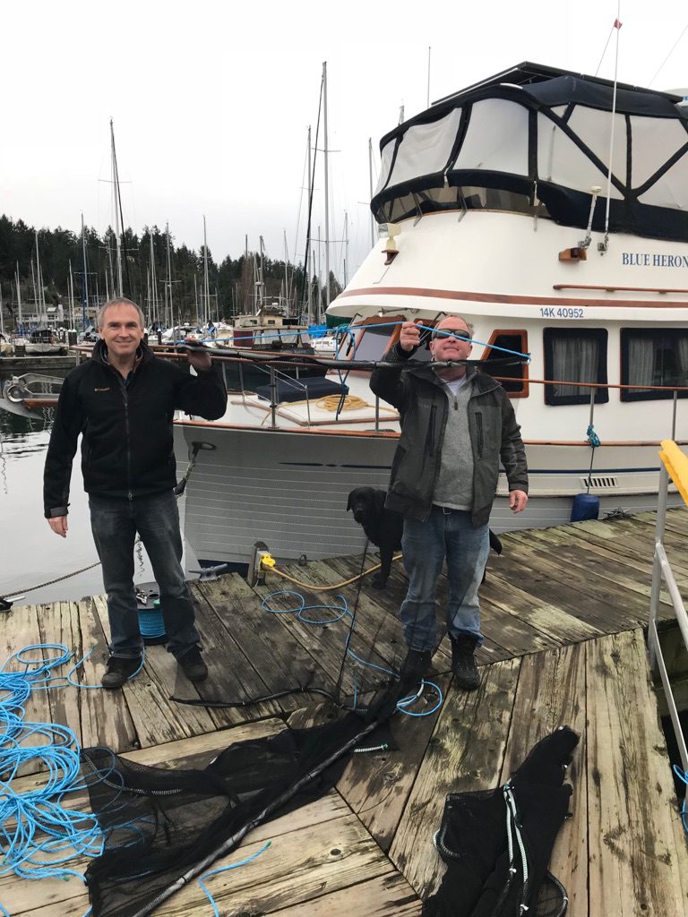 SCREDO promotes herring habitat enhancement