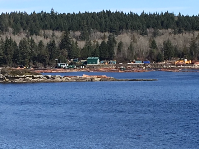 Layoffs at Ladysmith mill