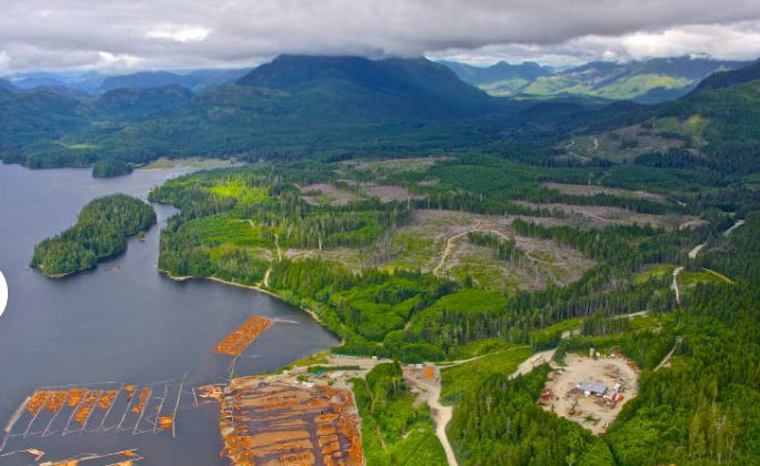 Steelhead LNG ceases work on natural gas pipeline, Sarita Bay terminal