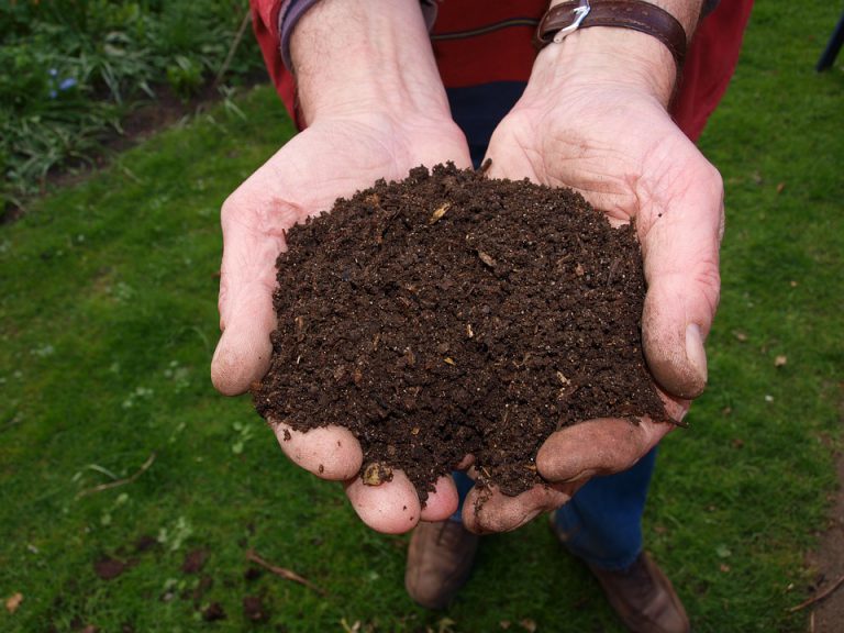 Just a couple days left to opt out of organics program