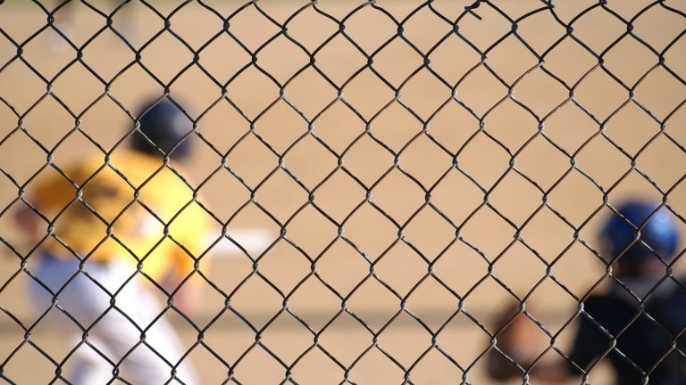 New backstop to be installed at Hackett Park