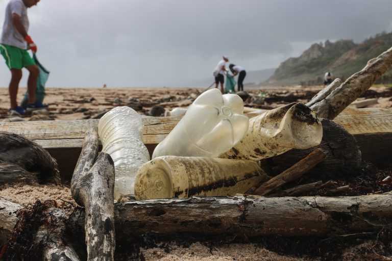 Sunshine Coast Islands clean up program starts July 4th