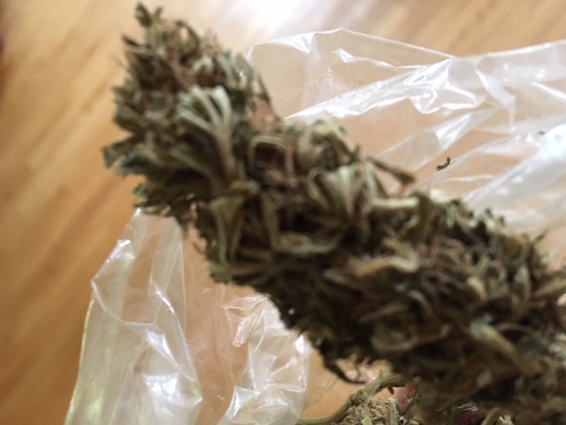 Medicinal cannabis rule changes