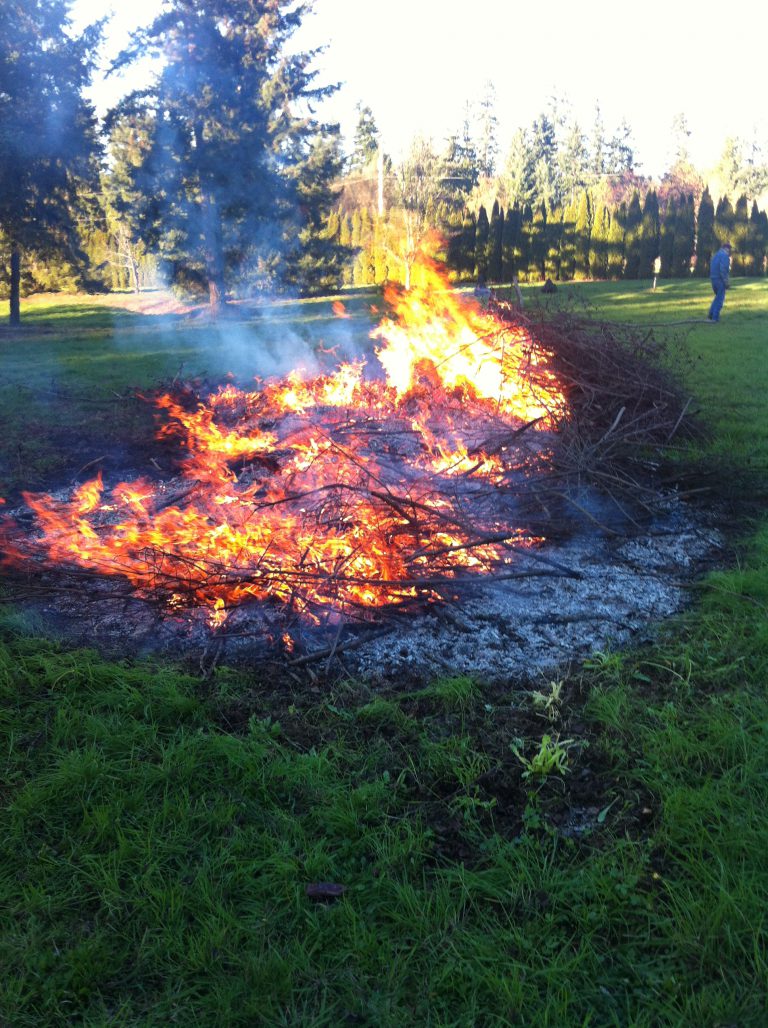 Back yard burning not allowed