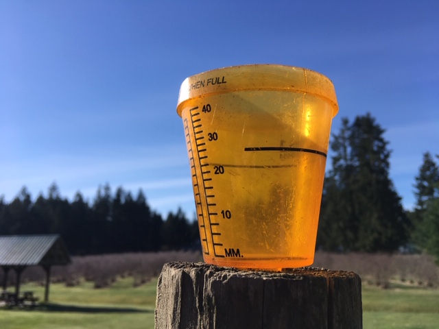 Rainwater harvesting rebate program begins taking applications