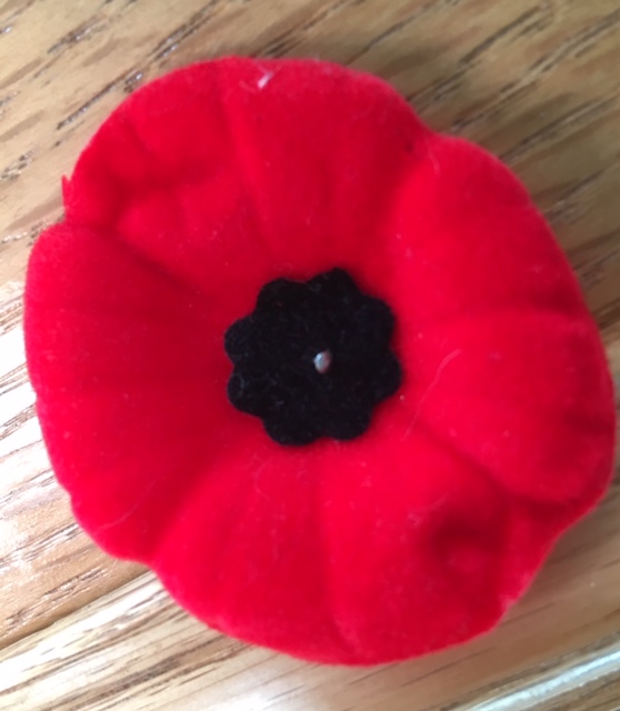 What Does Your Poppy Donation Do?
