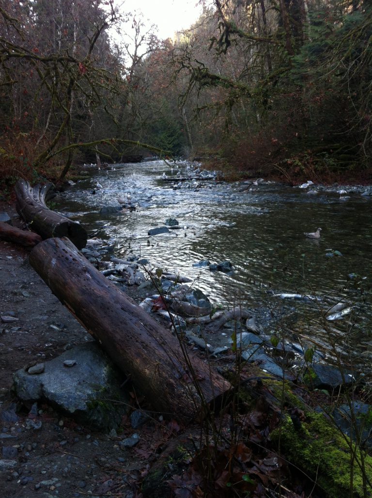 Nanaimo River could get a new $5 million bridge 