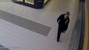 Suspect is alleged to have made off with $20,000 worth of jewelry