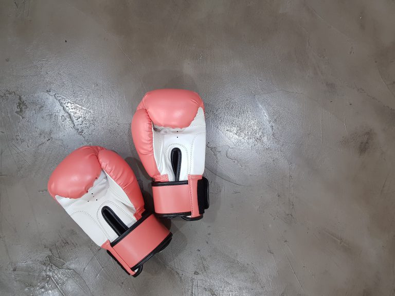 Boxers will be descending on the Sunshine Coast Saturday