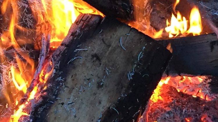 Beach fire spreads to homeless camp