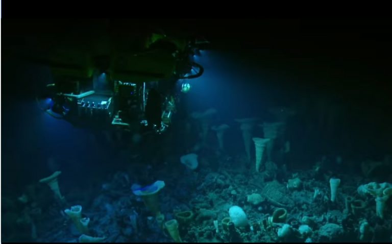 A Front Row Seat at Explorer Seamount