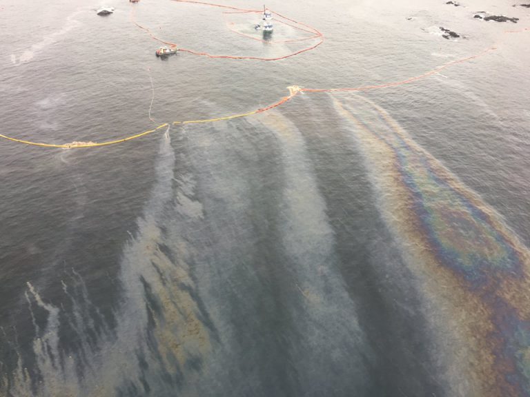 Nathan E. Stewart Handed Largest Ever Penalty under Fisheries Act