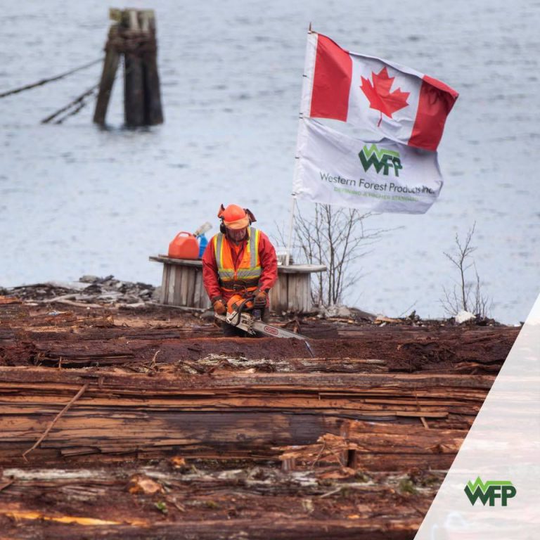 Western and United Steelworkers Fighting over Saltwater Logs