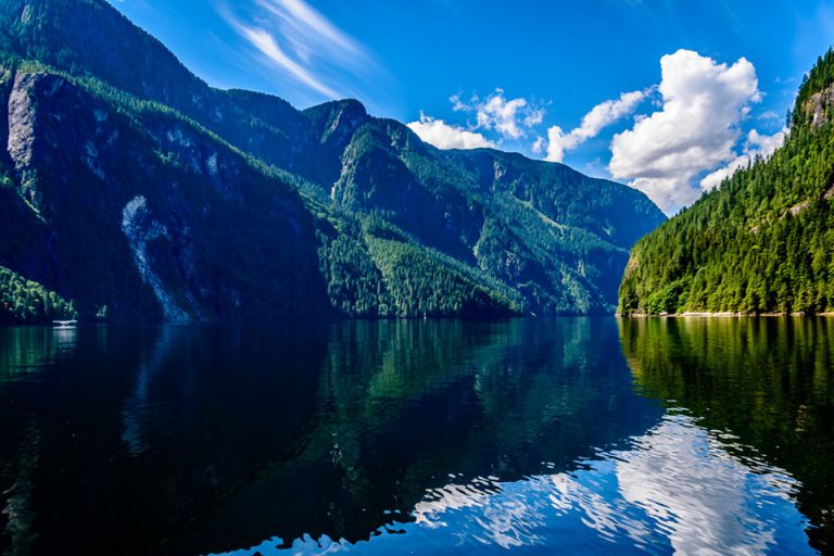 The Sale of a Gorgeous Parcel of Land would provide Protection