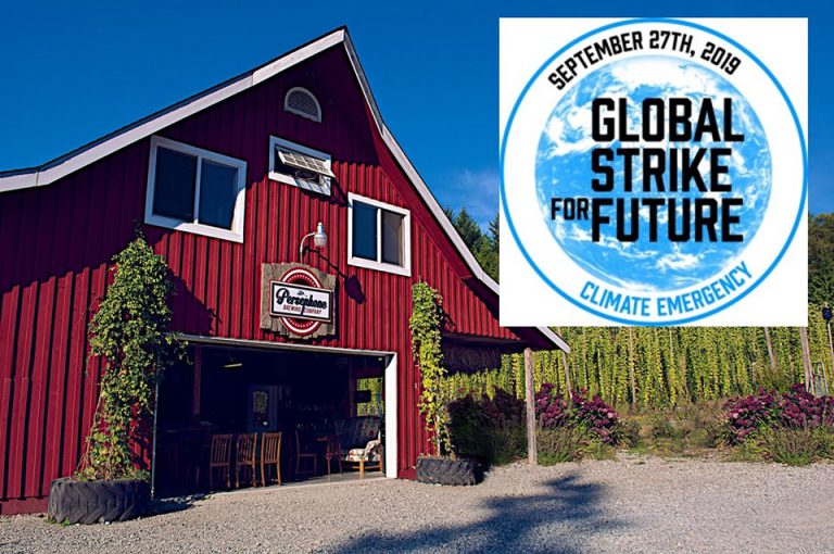 Youth in Gibsons Hold Climate Strike