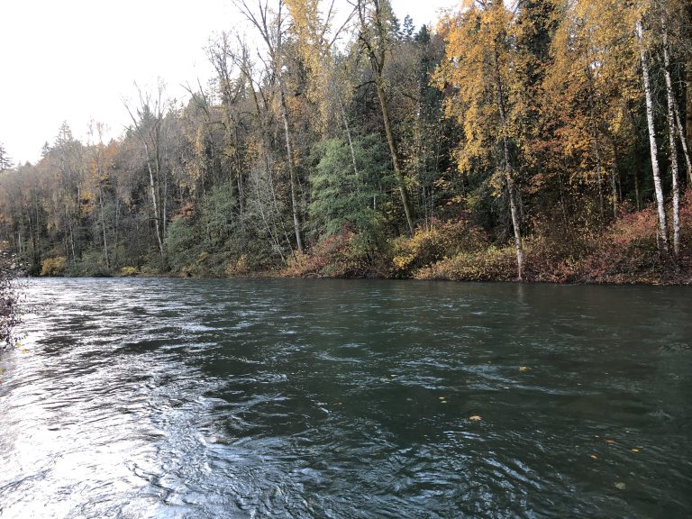 Vancouver Island river earns number two fishing spot in Canada