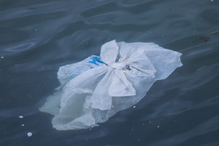 Businesses Invited to Discuss Ways to Eliminate Plastic Waste