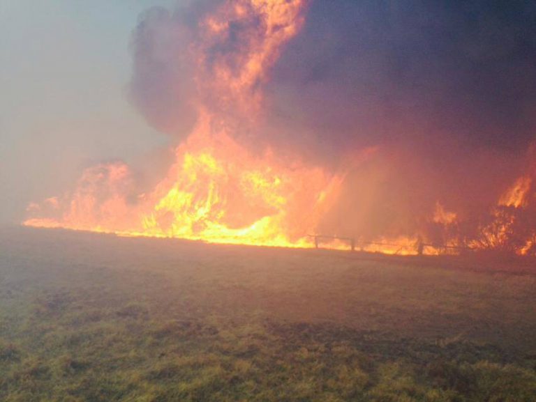 BC Firefighters Helping in Australia