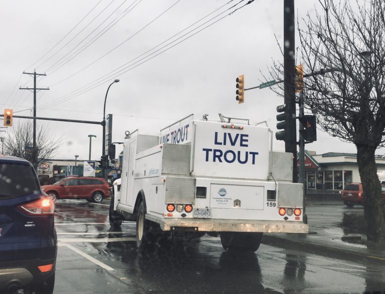 Vancouver Island University Fish Facility Decommissioned