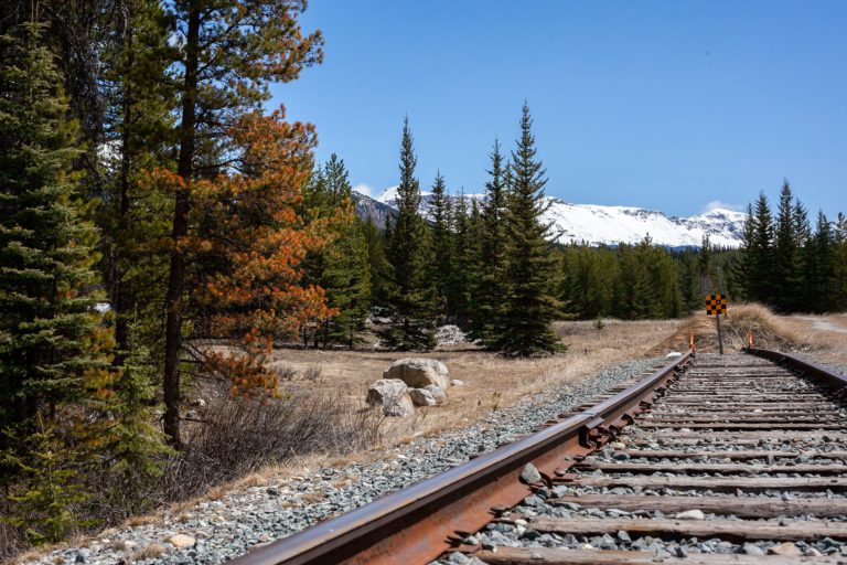 National Parks, historic sites to open June 1st