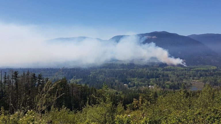 Vancouver Island ‘considerably below’ average for forest fires this year