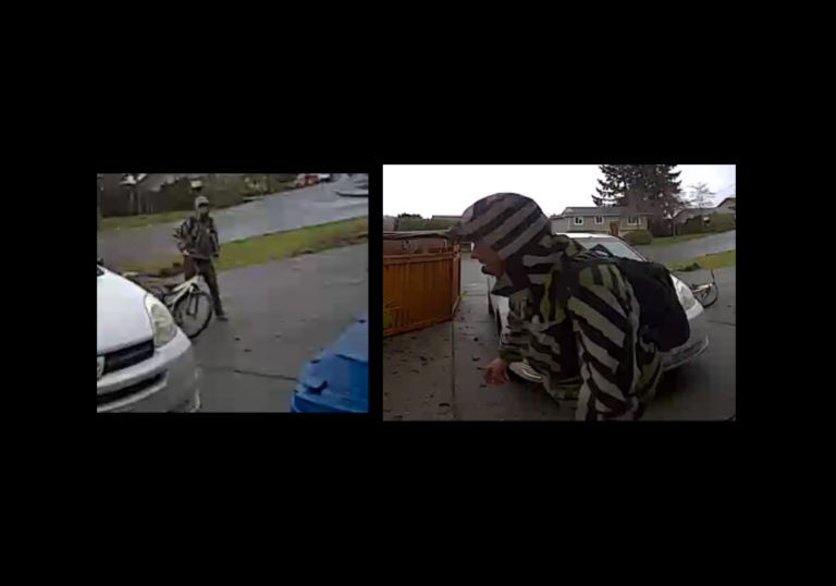 Thief Steals Children’s Backpacks from Daycare