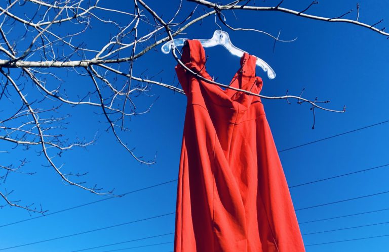 Red dresses, LGBTQ+ flag stolen from Nanaimo organization