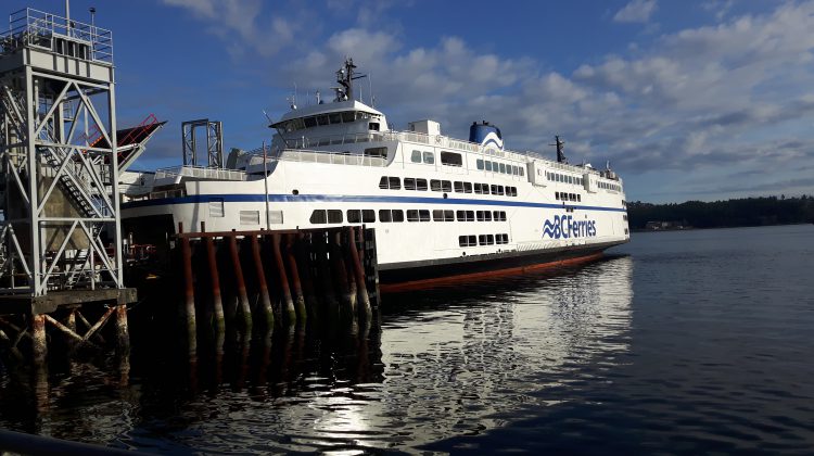 Missing ferry passenger rescued after being found in water