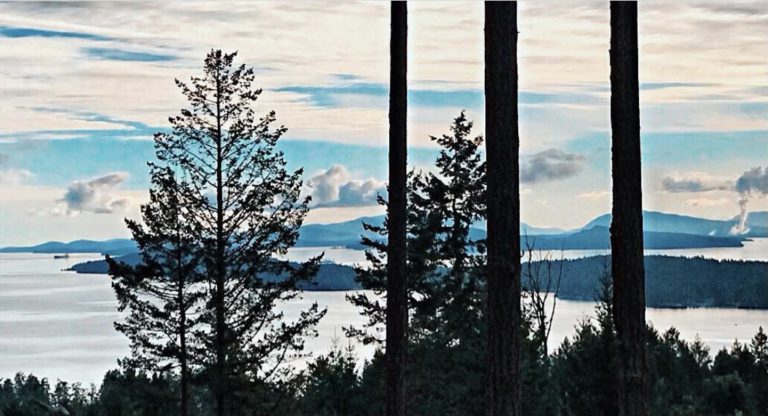 Vancouver Island communities named ‘most livable places’ in Canada: REPORT