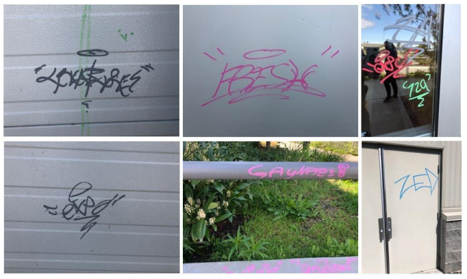 Cleaning bill for Sunshine Coast graffiti costs taxpayers $5000