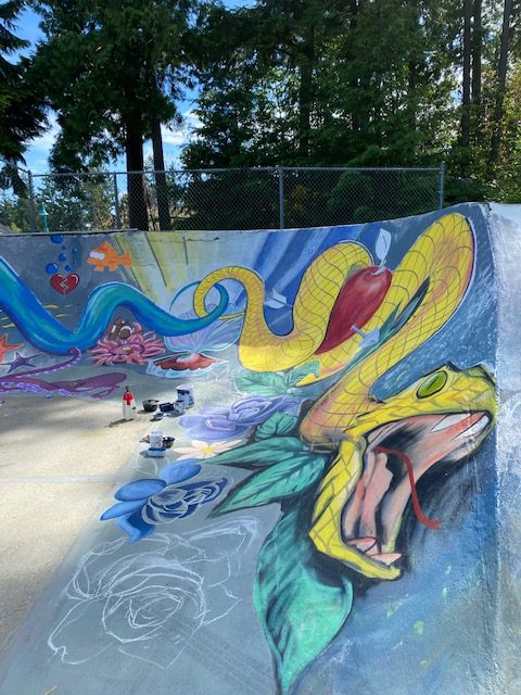 Sechelt skatepark to be restored after collective efforts from community