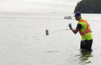 Nanaimo swimming spots will be tested for bacteria