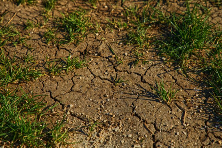 Dry July Sets a New Record